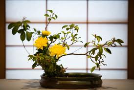 ikebana